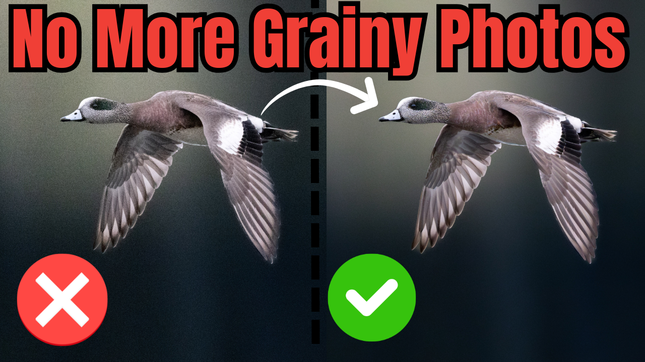 Why Your Photos Are Grainy 